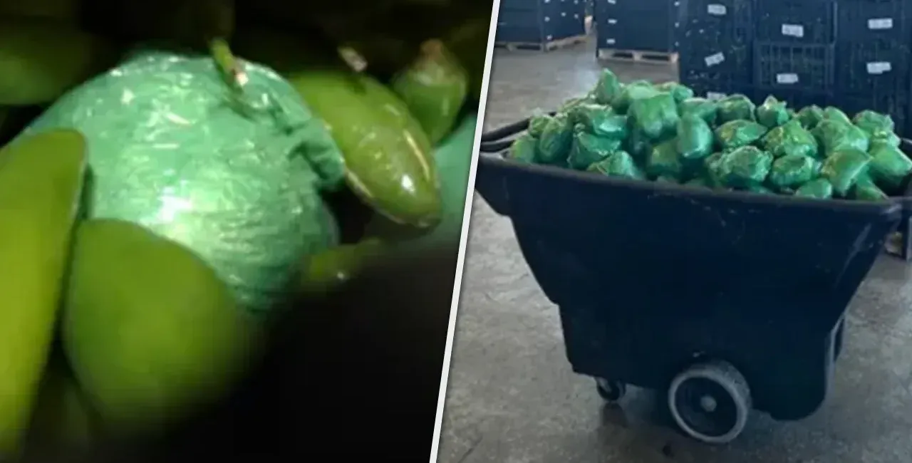 $31 Million Worth of Meth Seized at Texas-Mexico Border Hidden in Shipment of Peppers