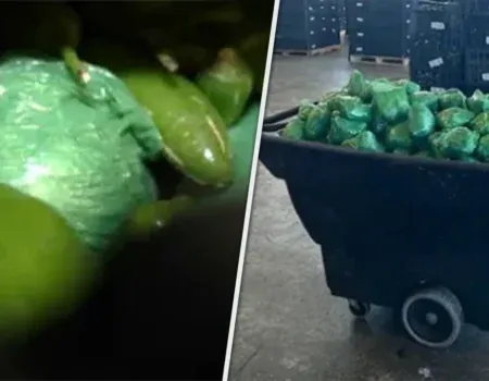 $31 Million Worth of Meth Seized at Texas-Mexico Border Hidden in Shipment of Peppers