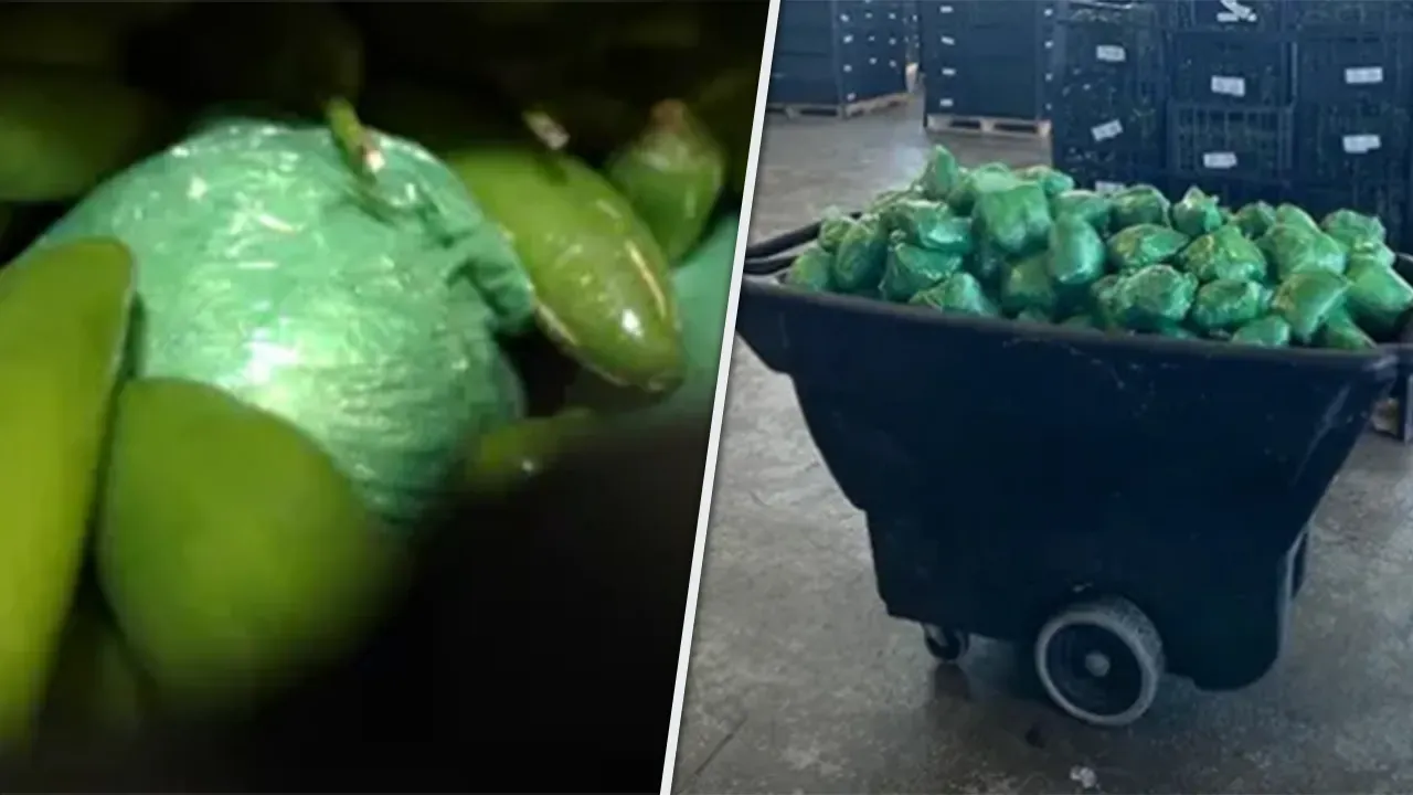 $31 Million Worth of Meth Seized at Texas-Mexico Border Hidden in Shipment of Peppers