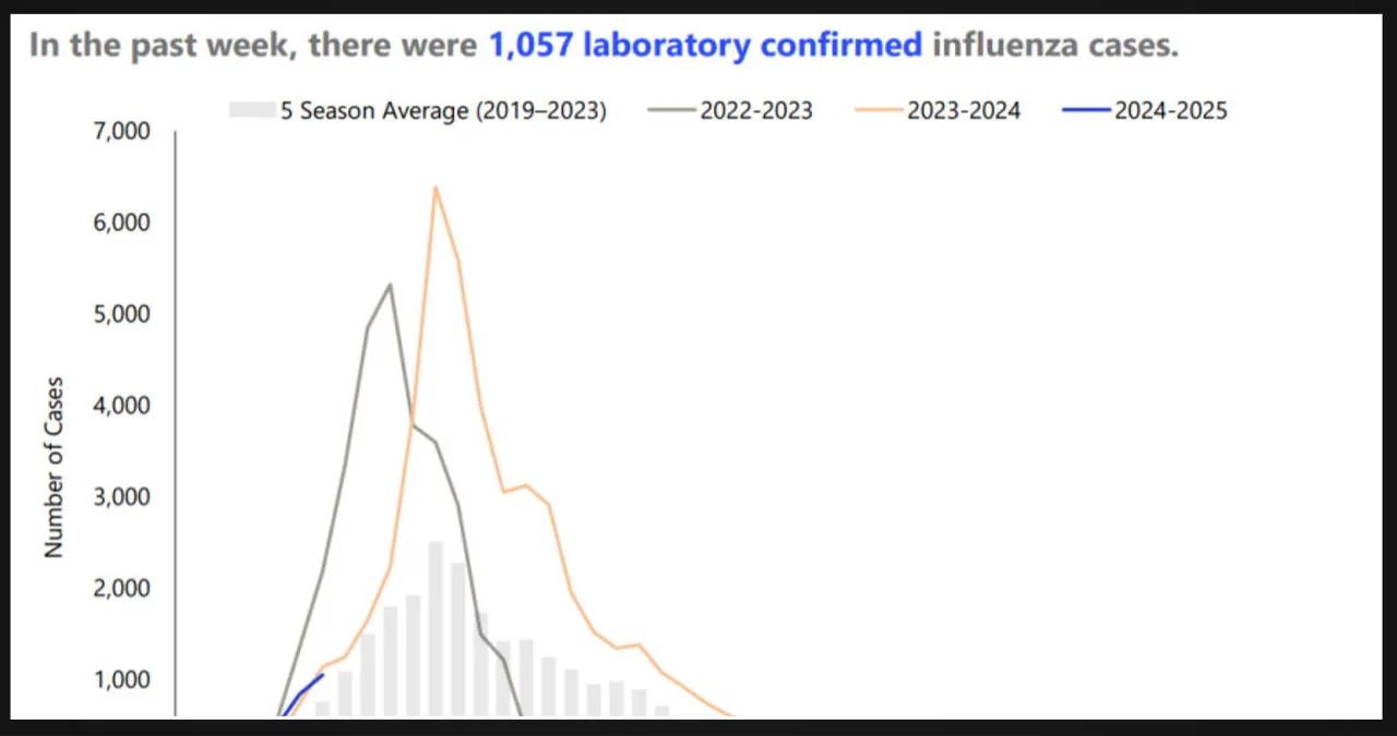 Increase in flu and COVID-19 infections observed in Arizona