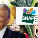 The Future of SNAP Proposed Changes and What They Mean for Beneficiaries