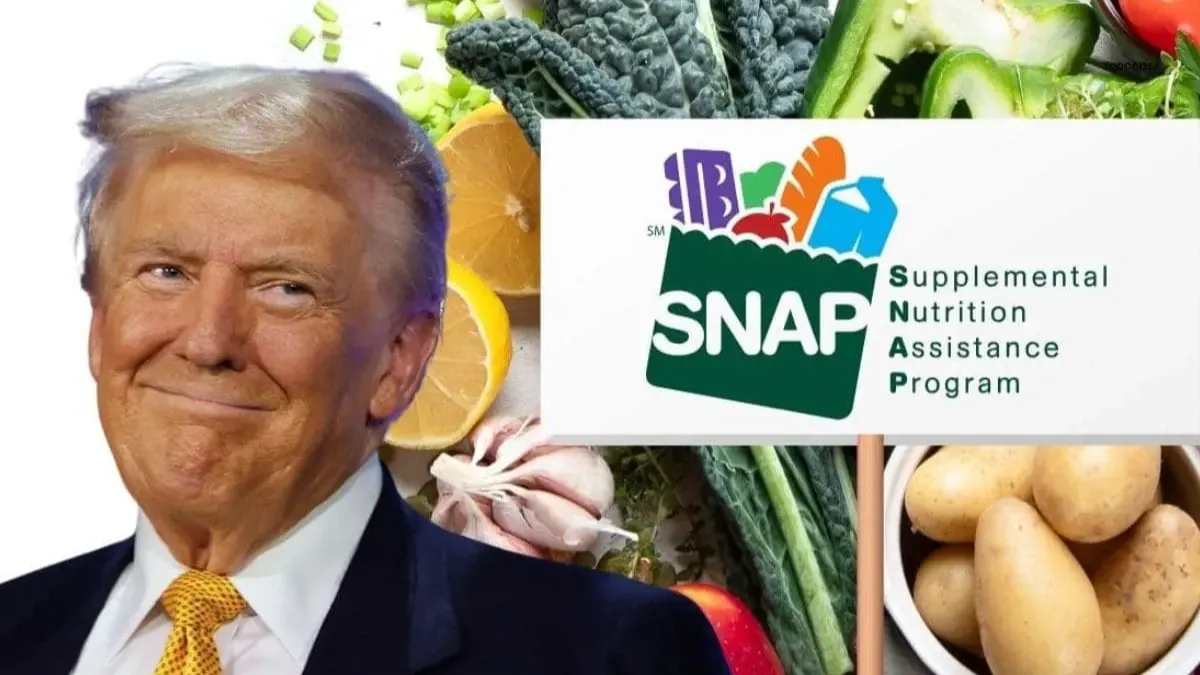 The Future of SNAP Proposed Changes and What They Mean for Beneficiaries