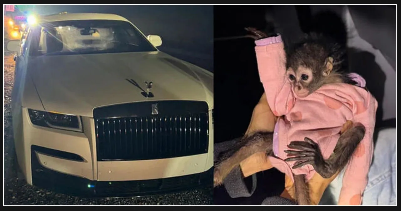 California Highway Patrol stops driver with baby monkey in his Rolls-Royce