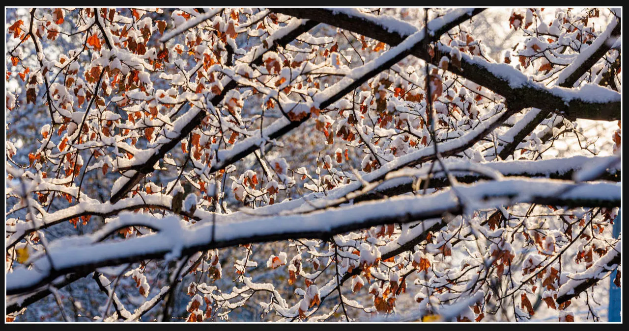 Hochul declares state of emergency due to lake effect storm and arctic air in New York