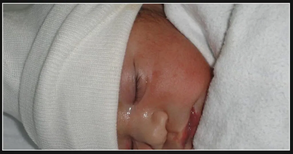 Study finds that approximately 250,000 children were born to undocumented migrants in 2023